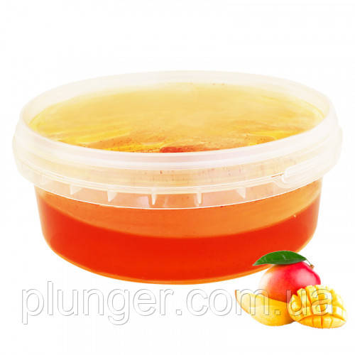 Паста концентрована "Манго" Fruity Land, 100гр, фото 1