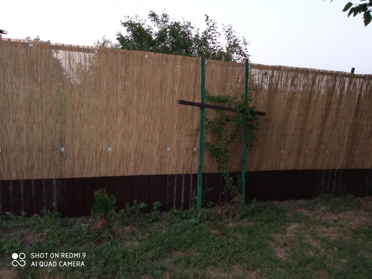 Забор из камыша (1м х 6м ) - фото 3 - id-p766759045