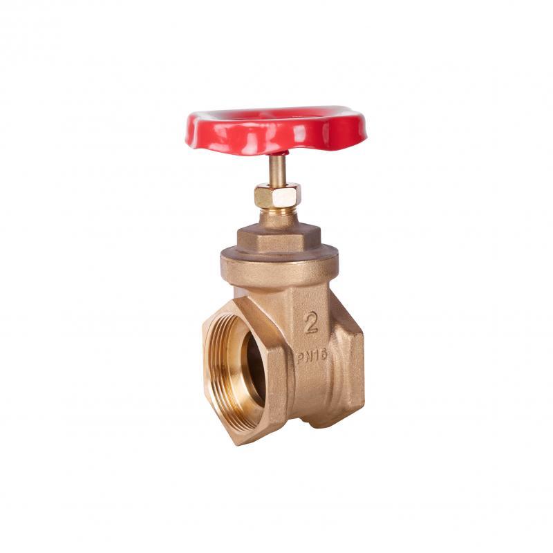 Засувка SD Plus 2" ВР SD25050, фото 1