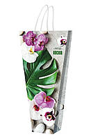 Сумка бумажная для цветов "Орхидея"