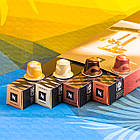 Набір кави в капсулах Barista Creations Flavored NEW (40 шт.), Швейцарія, фото 3