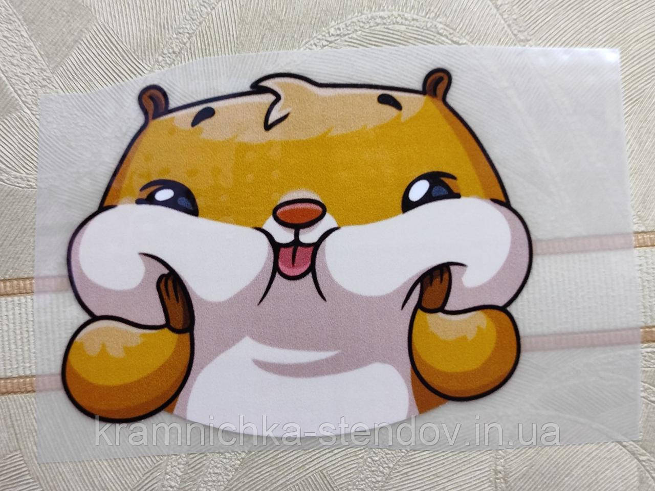 Термонаклейка на одяг, фото 1