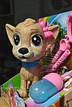 Chi Chi Love Інтерактивне Цуценя Пі пі Simba 5893460, фото 4