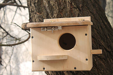 Будиночок для папуги (8012)