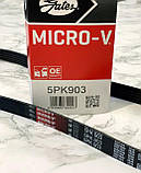 Ремінь генератора Mitsubishi lancer 9 1.6 (Міцубісі Лансер) Gates 5PK903, фото 7