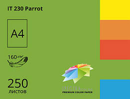 Папір А4 SPECTRA COLOR 160 г/м іненсив Parrot 230 (250 аркушів) 16,4451