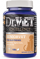 Витаминно-минеральная добавка Dr.Vet Seniorvet Сеньорвет для кошек и пожилых собак 100 табл