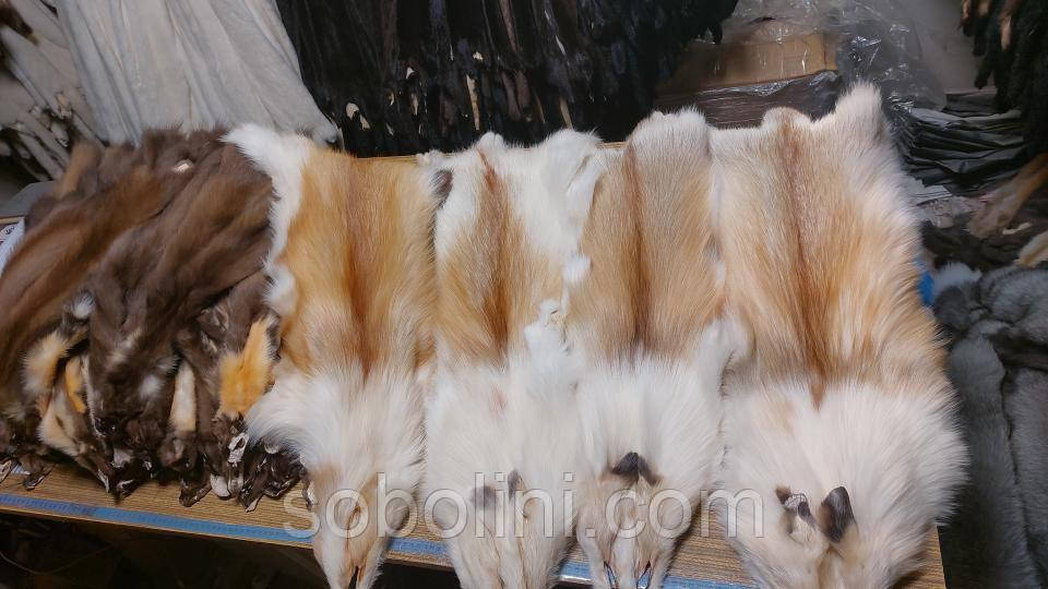 Хутро лисиці мутація, фото 1