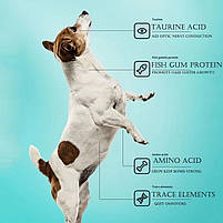 Смаколик - іграшка лизун льодяник для собак, фото 2