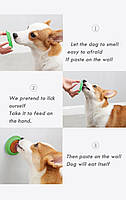 Смаколик - іграшка лизун льодяник для собак, фото 8