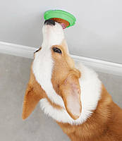 Смаколик - іграшка лизун льодяник для собак, фото 9