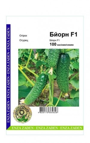 Огірок Бйорн F1 100 шт Агропак (Enza Zaden)