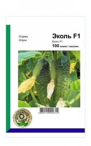 Огірок Еколь F1 100 шт Агропак (Syngenta, Голандія)