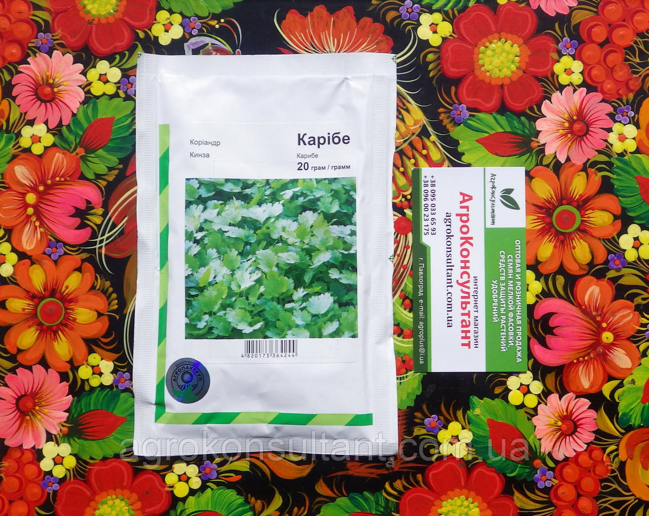Насіння коріандру (кінзи) Карібе (Bejo Zaden), 20 грам - пізньостиглий (75 днів), всесезонний