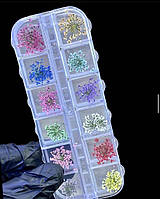 Набір сухоцвітів