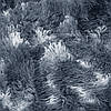 Плед-покривало Springos Extra Soft 160 x 200 см HA7214, фото 10