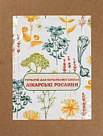 Гербарій "Лікарські рослини" №П1030/НУШ