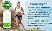 CardioPhyt (КардиоФит США) - кардиопротектор сердце сосуды Santegra