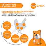БМВД для продуктивних несучок AVA Chick PRO HHL 30%, фото 3
