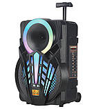 Акустическая система GZ-P12 (12") (30W) (Беспроводной микрофон) (18650) (Пульт), фото 4