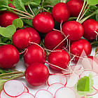 Редис Ілка Satimex/Німеччина 10 г., фото 2