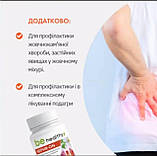 NEPHR-ON. Нефрон. Фітокомплекс для профілактики запальних захворювань нирок і сечовідних шляхів, 60 капсул, фото 5