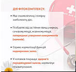 NEPHR-ON. Нефрон. Фітокомплекс для профілактики запальних захворювань нирок і сечовідних шляхів, 60 капсул, фото 2