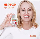 NEPHR-ON. Нефрон. Фітокомплекс для профілактики запальних захворювань нирок і сечовідних шляхів, 60 капсул, фото 8