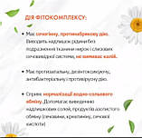 NEPHR-ON. Нефрон. Фітокомплекс для профілактики запальних захворювань нирок і сечовідних шляхів, 60 капсул, фото 3