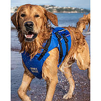Жилет для собаки Red Paddle Co Dog PFD Buoyancy Aid — S, фото 2
