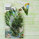 Розмарин 0,1 г НК ЕЛІТ, фото 3