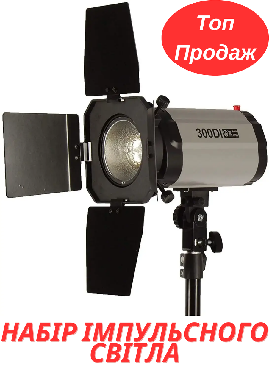 Купить Комплект импульсного света для фотостудии FST PHOTO EG-250DI ...