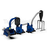 Комплекс перебивання деревини(КПД)-1000., фото 2