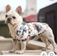 Одежда для животных (есть дропшиппинг и скидки)