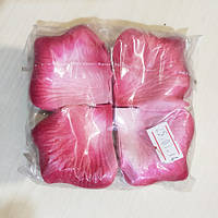 Пелюстки Троянд Рожево-червоний / Пелюстки Троянд Рожево-червоний 5x4x1 см