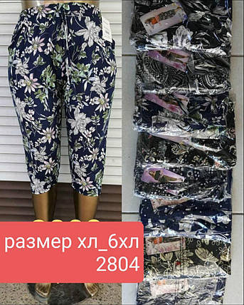 Бриджі жіночі №2804 р.XL-6XL( 46-54) мікс кольорів, фото 2