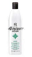 Шампунь себорегулирующий для кожи головы Balance Star Shampoo RR Line, 350 мл