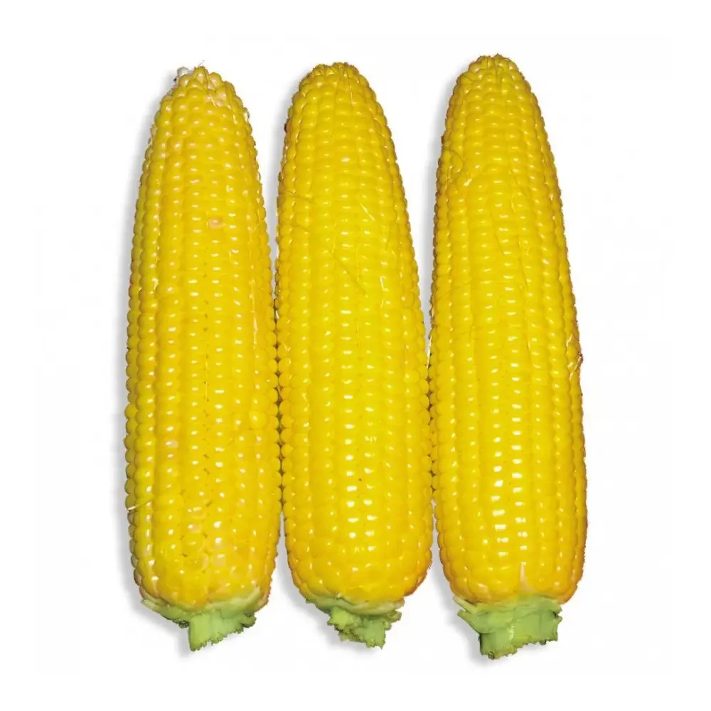 Насіння кукурудзи Добриня F1 (Dobrynja F1) Lark Seeds 25000