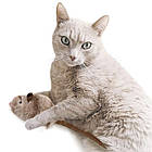 М'яка іграшка Мишка з м'ятою (3 пакетики) для кішок, GiGwi Catnip / Ігра-дразнилка для котів / Миша для кошенят, фото 3