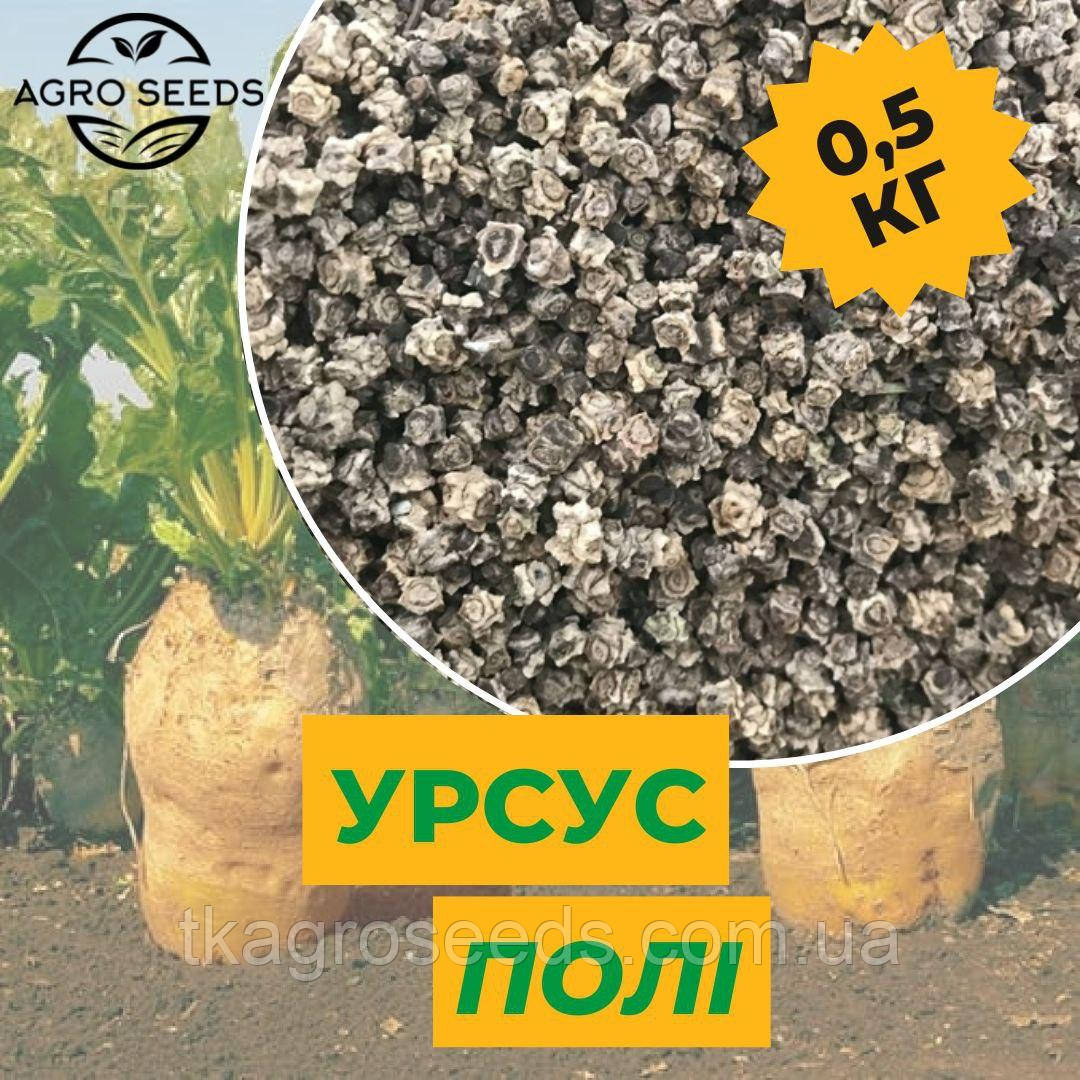 Насіння кормового буряка Урсус Полі (Фасовка - 0,5 кг)