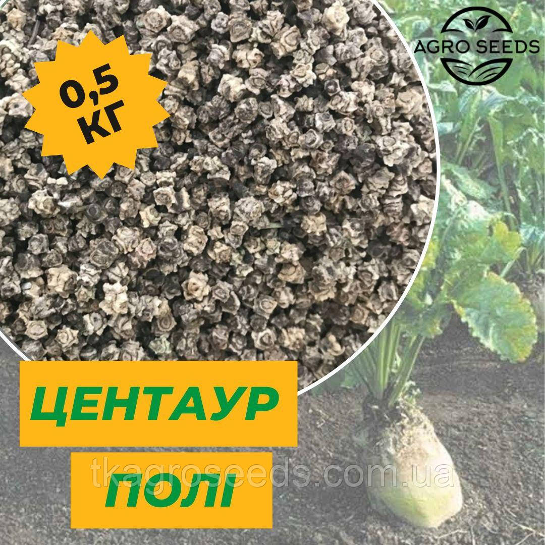 Насіння кормового буряка ЦЕНТАУР ПОЛІ (ФАСОВКА - 0,5 кг)
