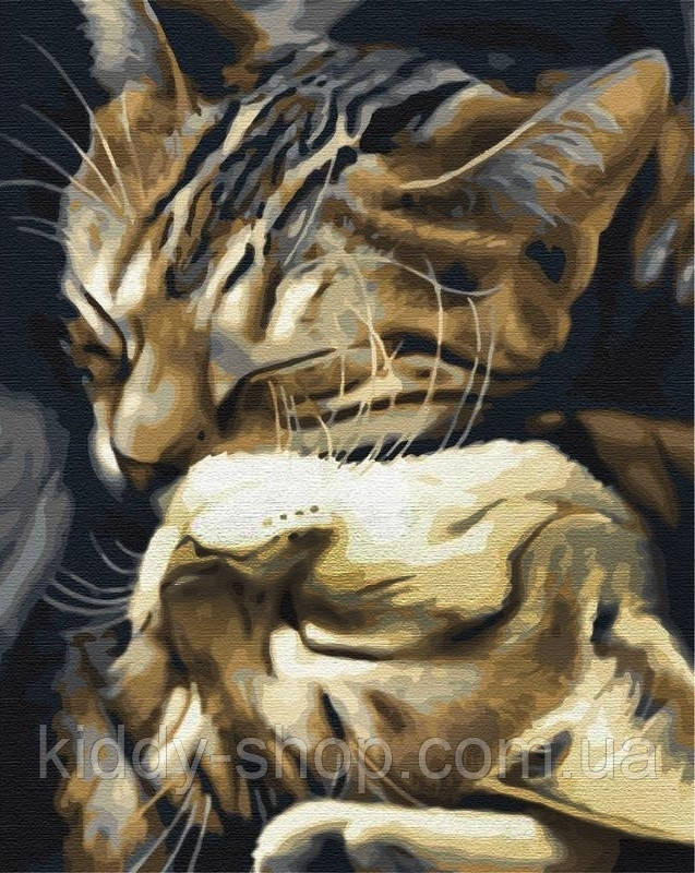 Діамантова вишивка. Картина на підрамнику "Кохання котиків", 40х50см, квадратні стрази