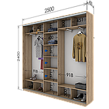 Шафа-купе (1900-2700*450*2400) дсп/дсп/дсп, фото 9