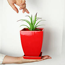 Горщик вазонок для квітів 1,1 л, h-14 см, d-11 см  "Конус чотирикутний" червоний