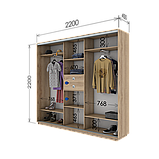 Шафа-купе (1900-2700*450*2200), фото 4