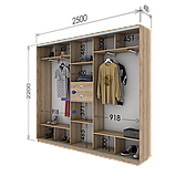 Шафа-купе (1900-2700*450*2200), фото 5
