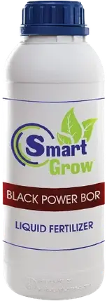 Мікродобриво SmartGrow Black Power Bor Смарт Гроу Блек Павер Бор (1 л ), фото 2