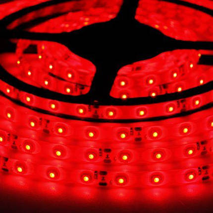 Світлодіодна стрічка OEM ST-12-2835-60-R-65 червона, герметична, 1 м, фото 2
