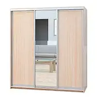 Шафа-купе (1900-2700*600*2400)  дсп/дсп/дзеркало