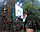 Комплект баскетбольний: стійка, щит, кошик і сітка, фото 2